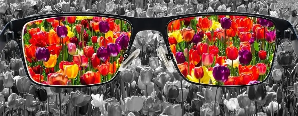 Zdjęcie w artykule - okulary dla daltonistów. Widoczny okulary na tle kwiatowej łąki. Poza okularami barwy w szarościach, w soczewkach widać żywe barwy kwiatów.